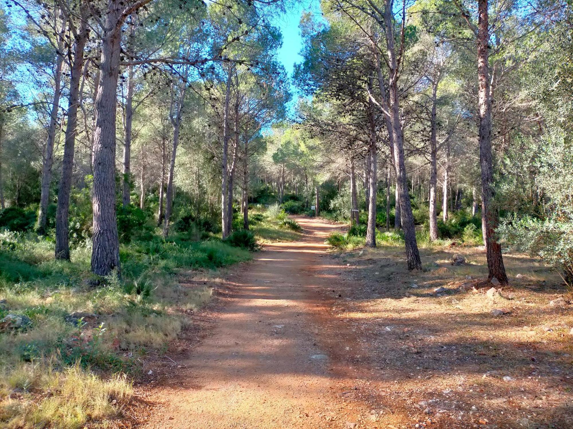 הוילה San Jorge  Amborget מראה חיצוני תמונה