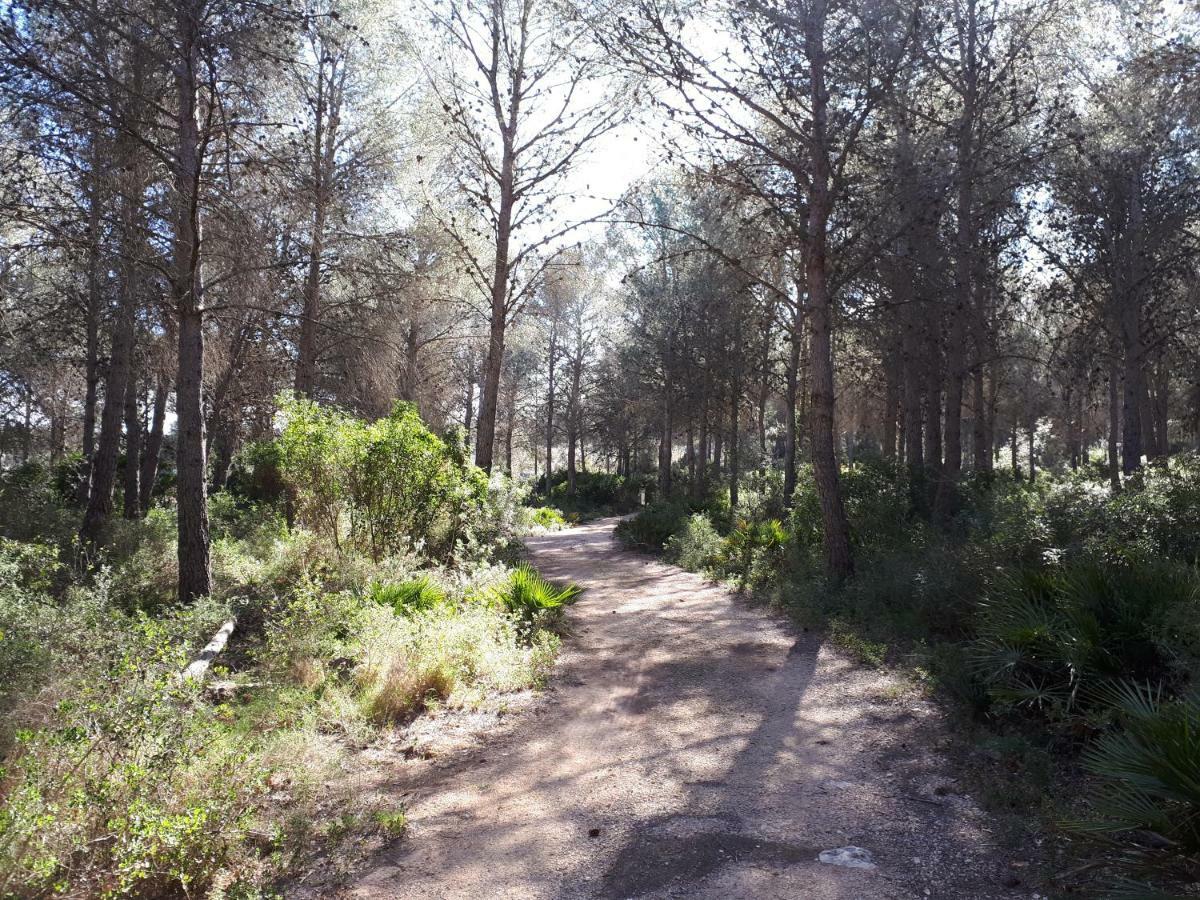 הוילה San Jorge  Amborget מראה חיצוני תמונה